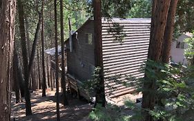 Sequoia National Forest Cabink